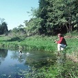 pond fishing